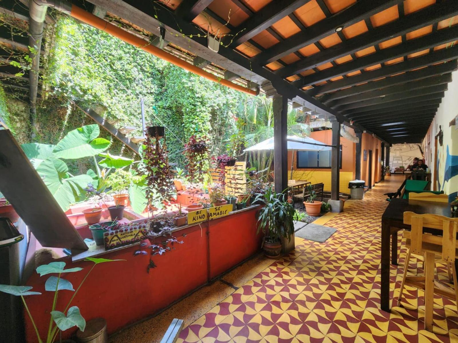 Amura Hostal Antigua Extérieur photo
